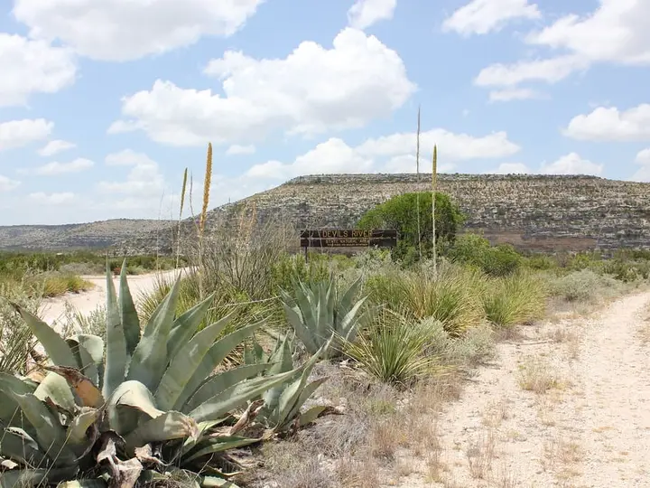 Agave plants beside a dirt road and entrance sign below a flat topped mesa at Devils River State Natural Area