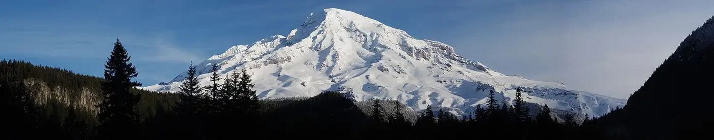 Snowy Mount Rainier rising above dark forest in a morning panorama from Longmire