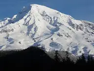 Snowy Mount Rainier rising above dark forest in a morning panorama from Longmire