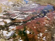 Mineral stained runoff channel from Alvord Hot Springs crossing grassland toward distant desert mountains