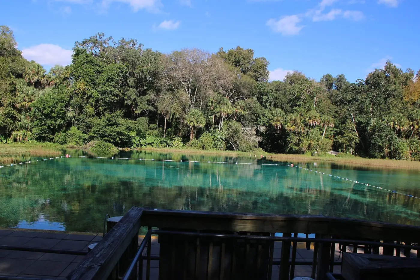 Clear turquoise swimming area at Rainbow Springs headspring under blue sky and green forest
