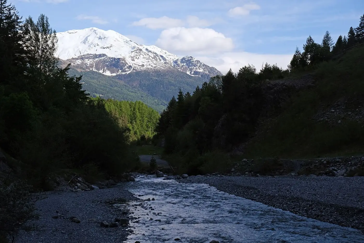 Braulio stream flowing through a wooded valley below snowy peaks near Bormio