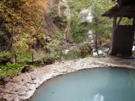 Milky blue open air public bath of Shirahone Onsen ringed by stones and autumn trees