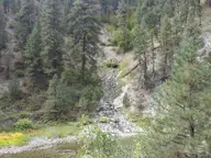 Hot spring water cascading down a rocky hillside among pines toward the river at Rocky Canyon Hot Springs