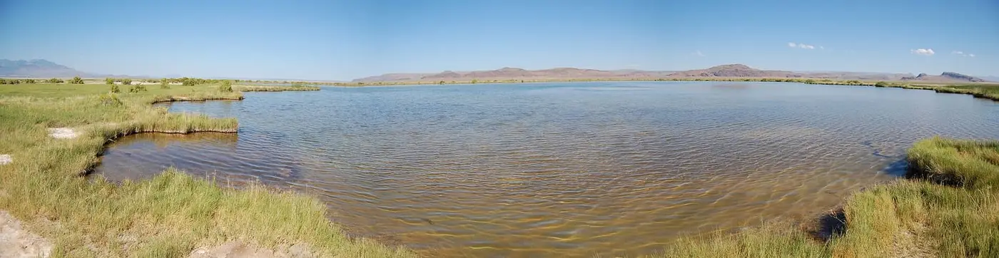 Wide panorama of shallow Borax Lake ringed by grass under a clear sky in the Alvord Basin
