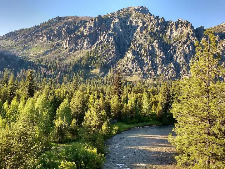Middle Fork Boise River winding through pine forest below rugged peaks near Chattanooga Hot Springs