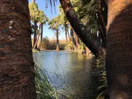 Palm lined pond at the Hot Springs Long Term Visitor Area near Holtville under blue sky