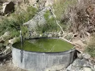 Metal soaking tub filled with green spring water on a brushy hillside at Willett Hot Springs