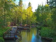 Wooden boardwalk and decks along the clear Alpha pool at Liard River Hot Springs in green forest