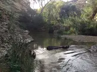 The Fiume Caldo flowing through a shady rocky gorge beside the free Segesta hot pools