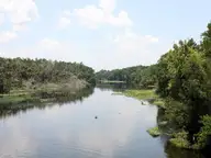 Alexander Springs Creek winding between wooded banks under a sky of white clouds