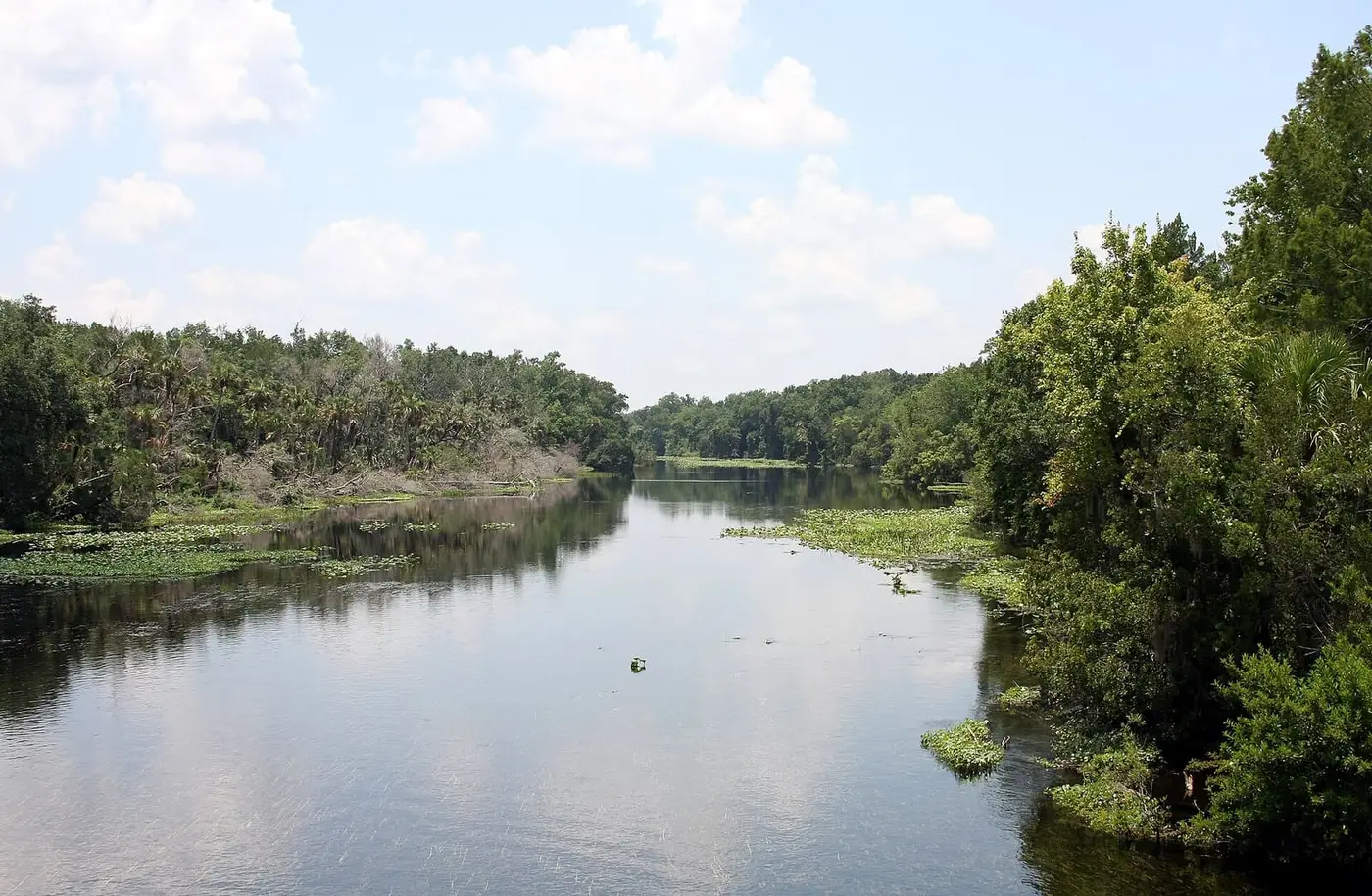 Alexander Springs Creek winding between wooded banks under a sky of white clouds