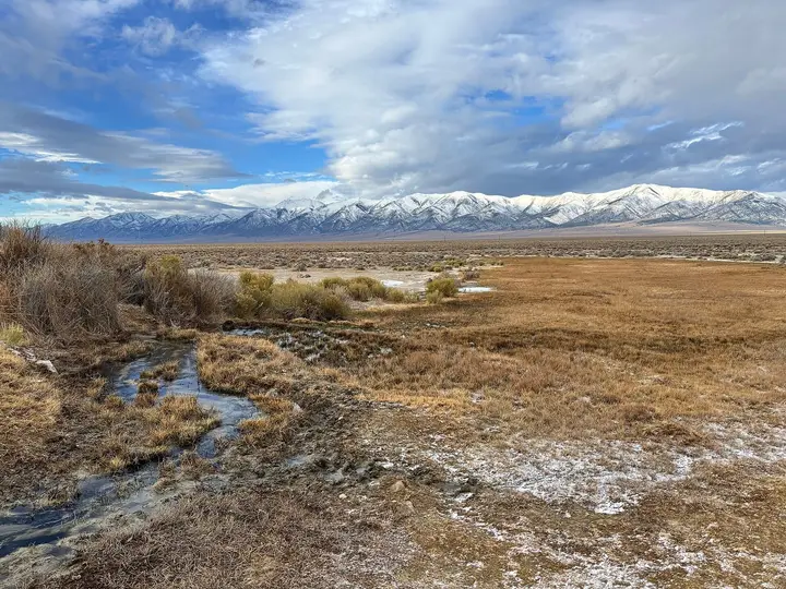 Warm spring flow winding through golden grass in Big Smoky Valley below the snowy Toquima Range