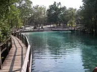 Clear blue Gilchrist Blue Springs pool seen from the wooden boardwalk toward the swimming dock