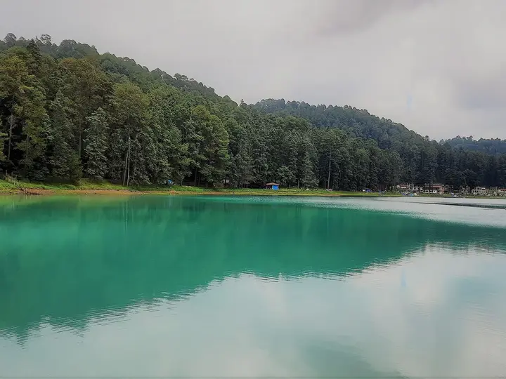 Turquoise water of Laguna Larga reflecting the pine forest in Los Azufres, Michoacán