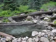 Clear rock lined pool framed by fallen logs and ferns at Stanley Hot Springs