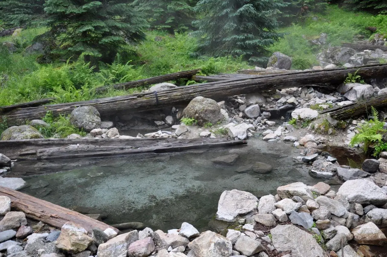 Clear rock lined pool framed by fallen logs and ferns at Stanley Hot Springs
