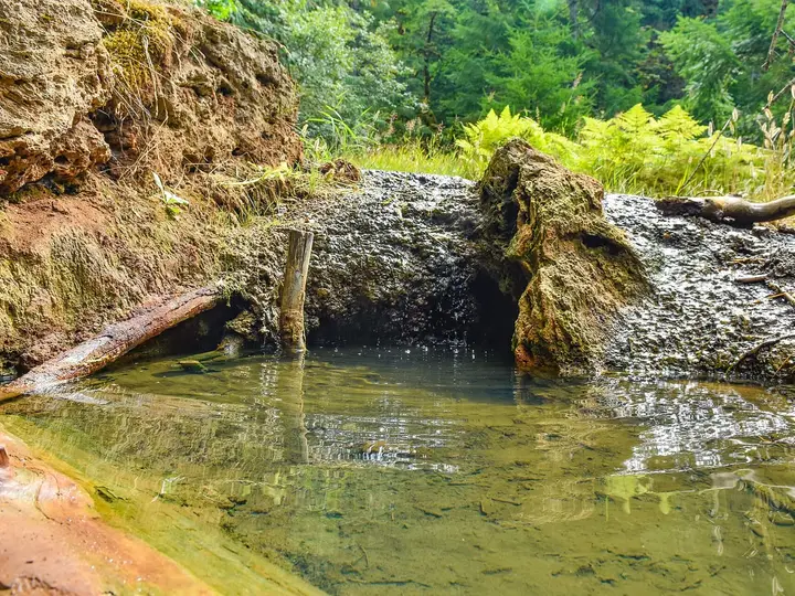 Clear warm spring pool below a mossy mineral ledge at Ohanapecosh Hot Springs in Mount Rainier National Park