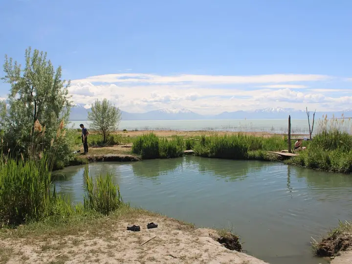 Reed lined warm pool at Saratoga Hot Springs on the shore of Utah Lake below snowy Wasatch peaks
