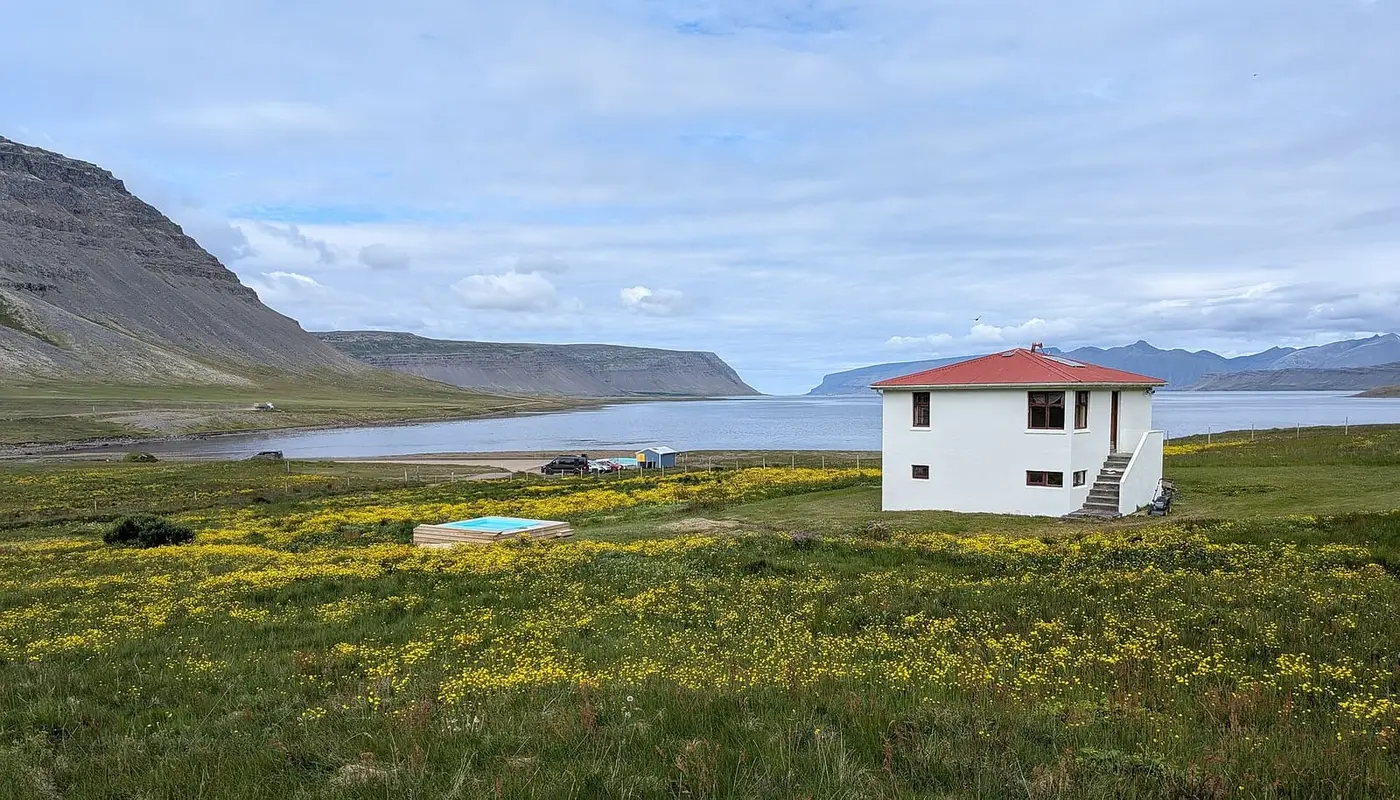 Meadow of yellow flowers with a white house and small blue pool at the head of Reykjafjörður