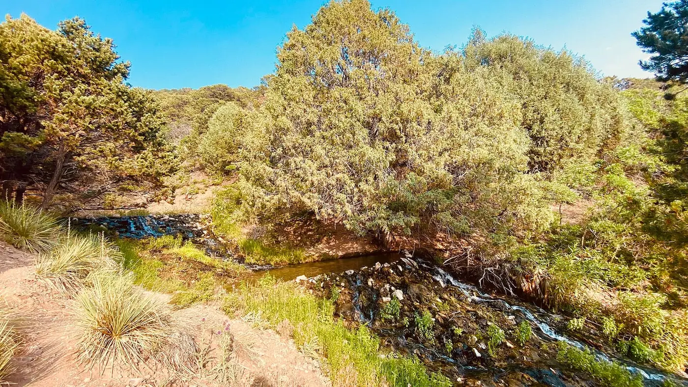 Small creek tumbling over rocks beneath juniper and pinyon trees at Valley View Hot Springs